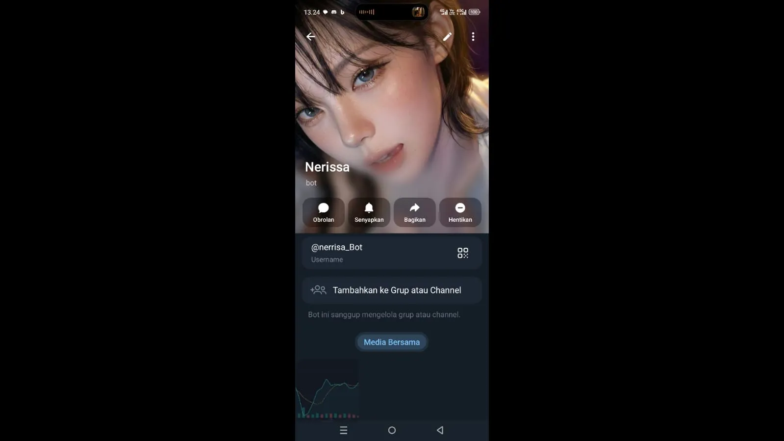 Nerrisa Bot